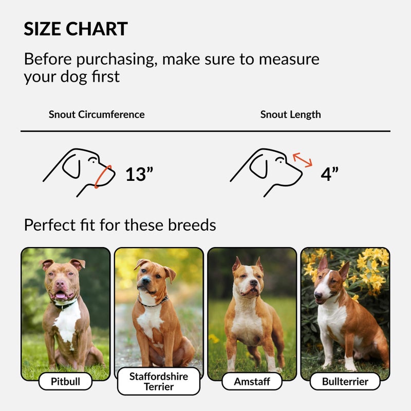 CollarDirect Dog Muzzle Pitbull Amstaff Basket Genuine Leather Staffordshire Terrier (Pink) - Image 2